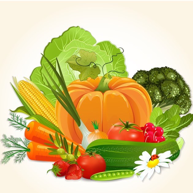 Nutrizionista